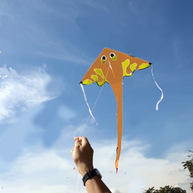 Monster ray Kite