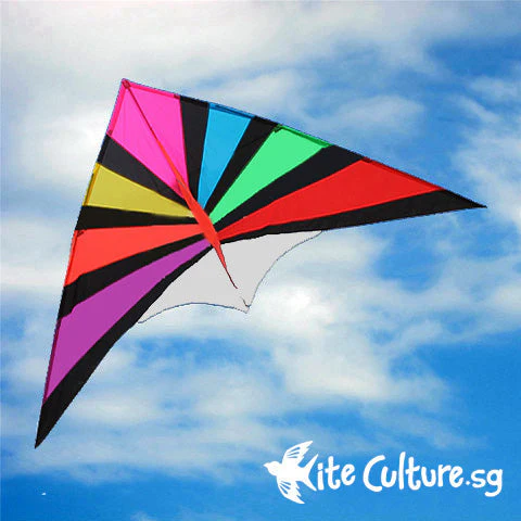 2.8m Giant Radian Delta Kite
