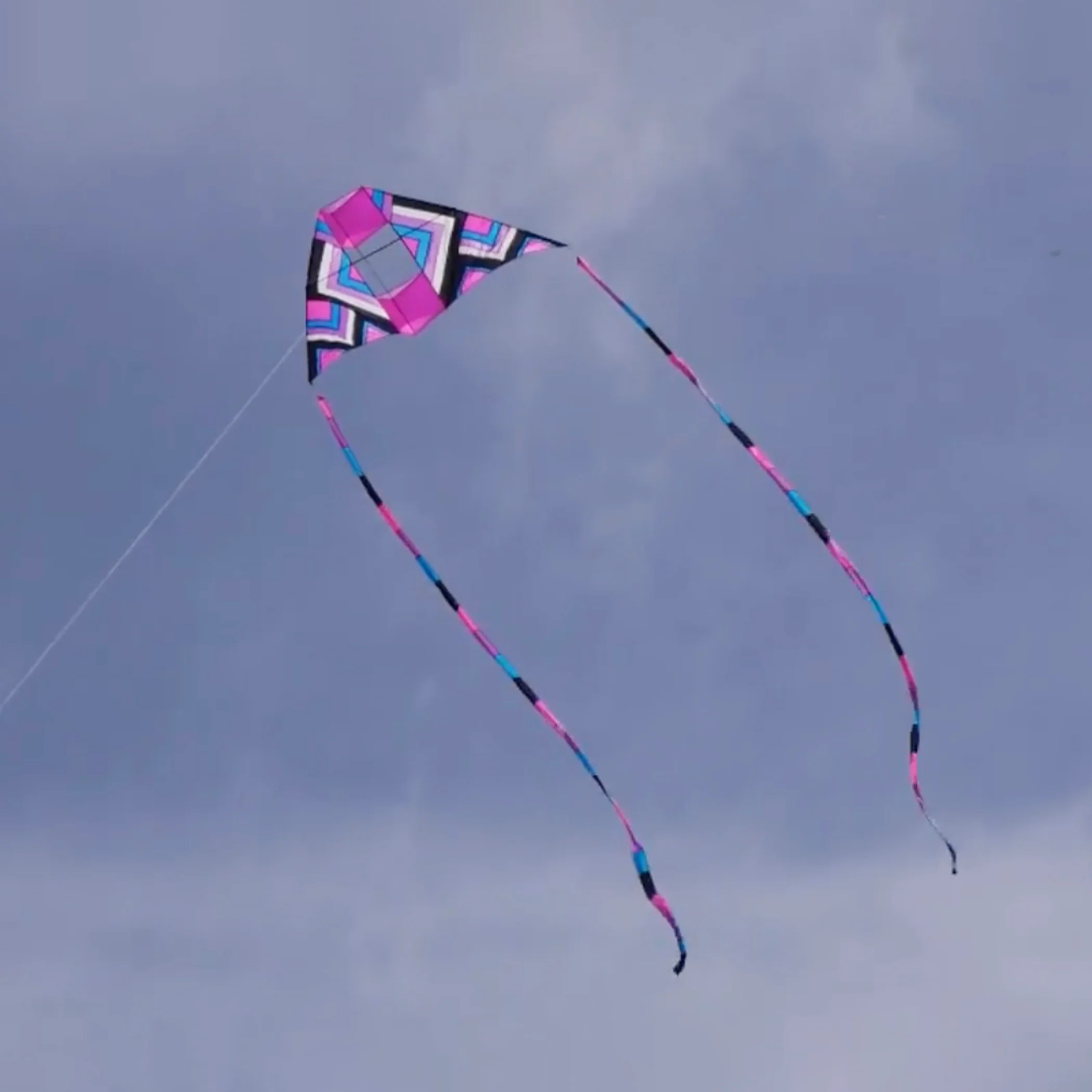 Giant Delta Coyne Pink